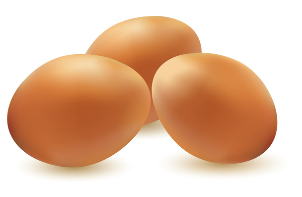 Vector illustration of three eggs - Vector, Image