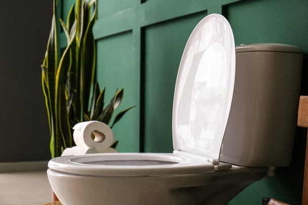 Toilet bowl near green wall in restroom - Photo, Image
