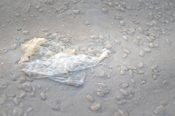 ビーチの海岸には使用済みのビニール袋とサルプゼリーボールが投げられます。海岸の汚染だ. - 写真・画像