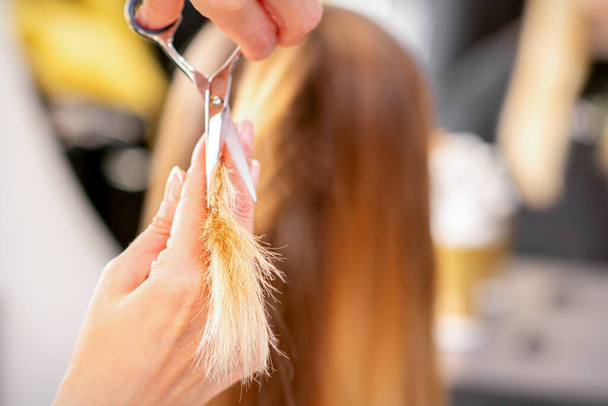 Der Friseur schneidet weiblichen Haaren mit der Schere die Enden ab. Konzept des Schönheitssalons Dienstleistungen. Schneidet Haarspitzen - Foto, Bild