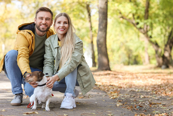 Lovely couple with Jack Russel terrier  walking in park on autumn day - Fotografie, Obrázek