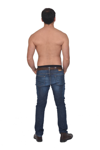 vista posteriore di un uomo senza camicia e con jeans blu, mani su tasche su sfondo bianco - Foto, immagini