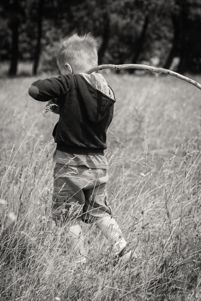 jongen in veld - Foto, afbeelding