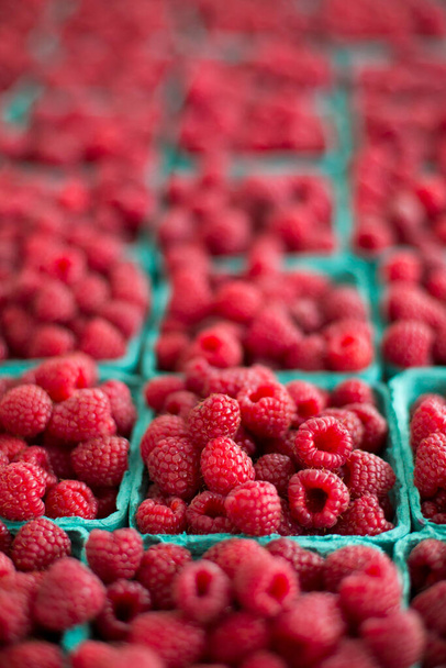 Lots of berries in baskets. - Photo, Image