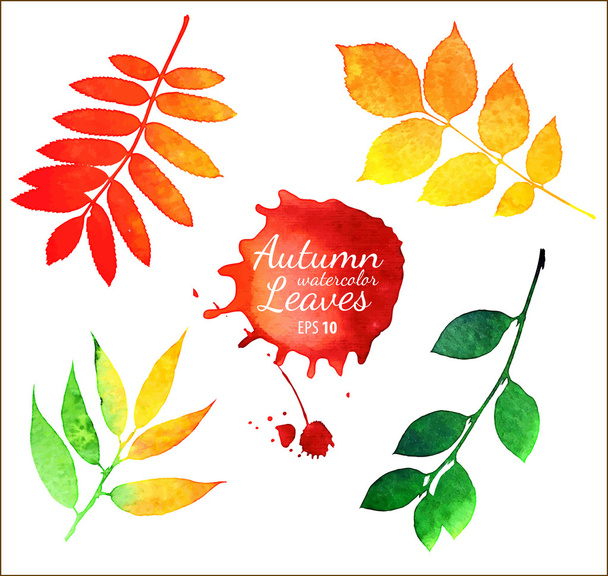 Autumn leaves - Wektor, obraz