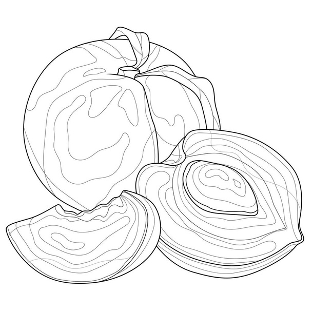 Peaches. Fruit.Coloring book antistress for children and adults. Illustration isolated on white background.Zen-tangle style. Black and white illustration.Hand draw - Vector, Image