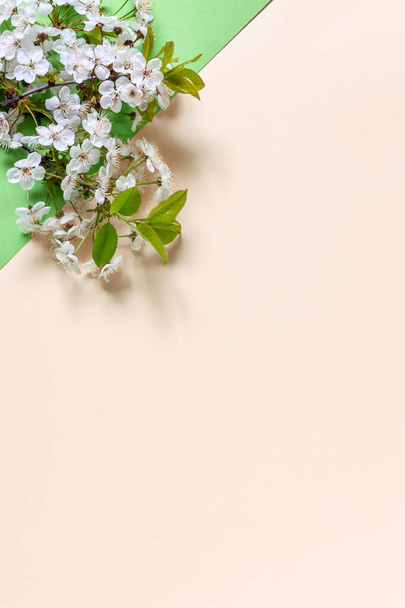 Close-up photo of Beautiful white Flowering Cherry Tree branches. Wedding, engagement or betrothal concept on Calming Coral background. Top view, greeting card - Foto, Bild