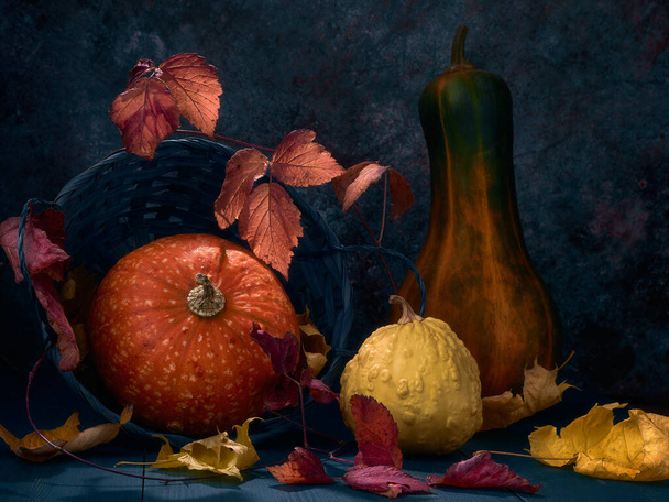 Still life in low key with pumpkins of different shapes, sizes and colors on a blue background, with autumn yellow and red leaves.  - Fotó, kép