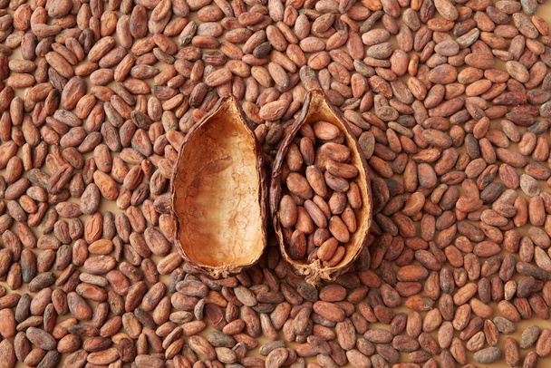 Вид зверху на половинки какао-стручок, наповнений нечистими сирими бобами, складеними на купі ароматичних насіння
 - Фото, зображення
