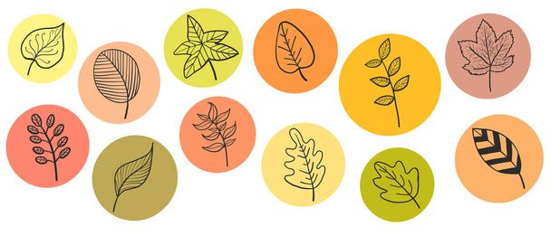 Hand Drawn Autumn Leaves Set. Autumn Tree Falling Leaves Icons with different Shapes and Colors. Vector Design Elements. - Vector, Imagen