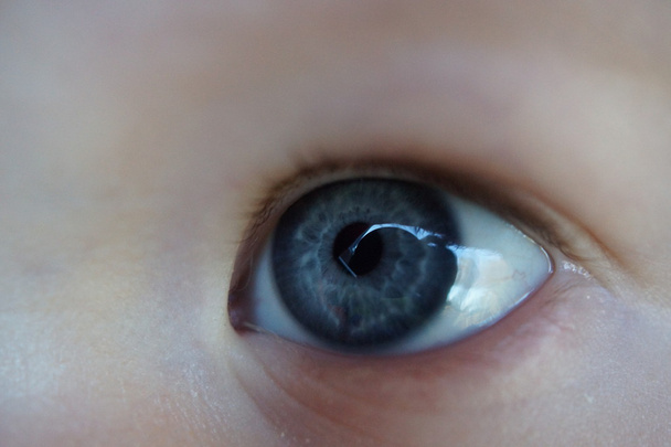 Bambino occhi blu - Immagine ravvicinata di un volto infantile
 - Foto, immagini