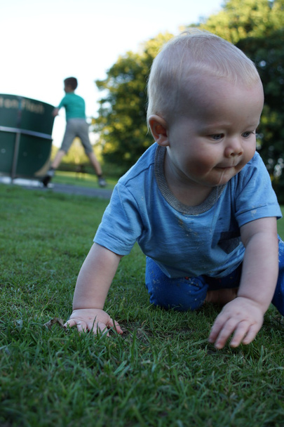 Young infant baby crawling on the grass - Photo, image