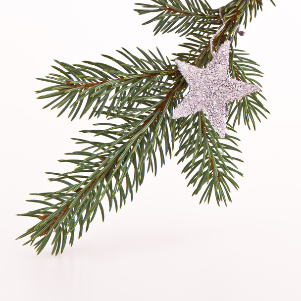 Yıldızlı Noel ağacı - Fotoğraf, Görsel