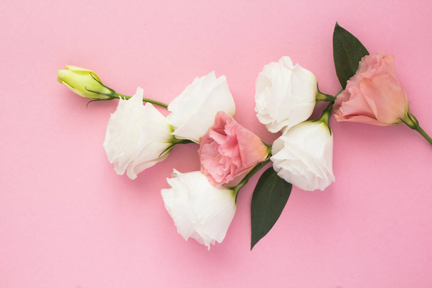 Mooie witte en roze bloemen op de roze achtergrond. Close-up. - Foto, afbeelding