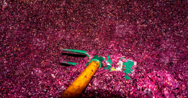 Fermantasyondan sonra üzüm kalıntıları ve brendinin damıtılması için kullanılan kurutulmuş şarap. - Fotoğraf, Görsel