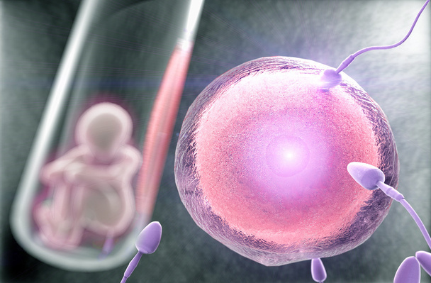 γονιμοποίηση, ανθρώπινη κλωνοποίηση - Φωτογραφία, εικόνα