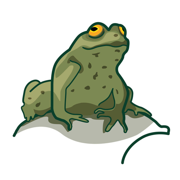 Зелена жаба сидить на камені Логотип, занурюється на сонце, ілюстрація, татуювання, плакат, листівка, друк
. - Фото, зображення