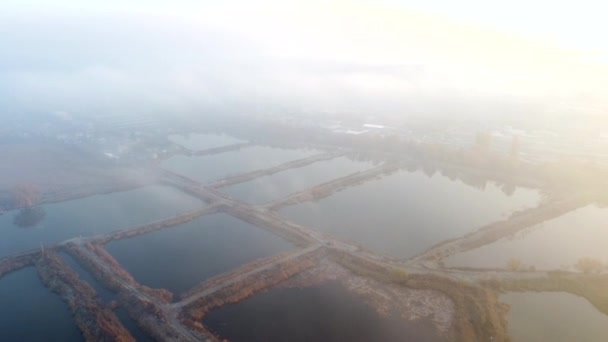 Drohnenflug über künstlich ausgehobenen Teichen für Fischzucht im Herbst - Filmmaterial, Video