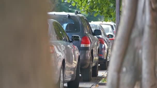 Tráfico urbano con coches estacionados en línea en el lado de la calle - Metraje, vídeo