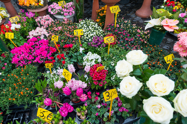 Ulica kwiaciarnia z kolorowymi kwiatami - Zdjęcie, obraz