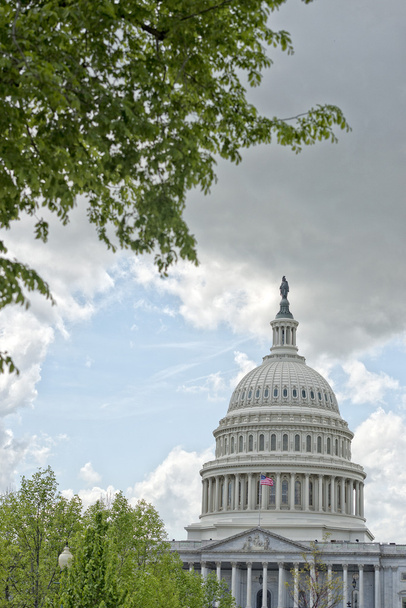 Washington dc capitol widok z centrum na pochmurne niebo - Zdjęcie, obraz