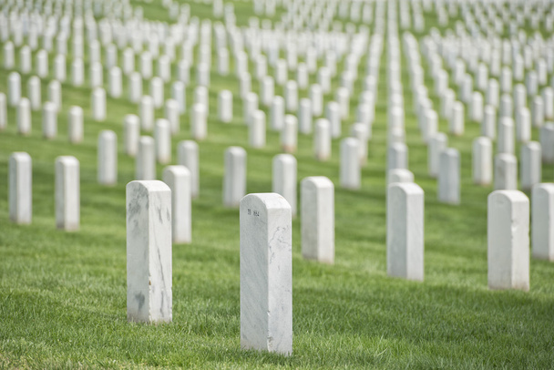 Friedhof von Arlington - Foto, Bild