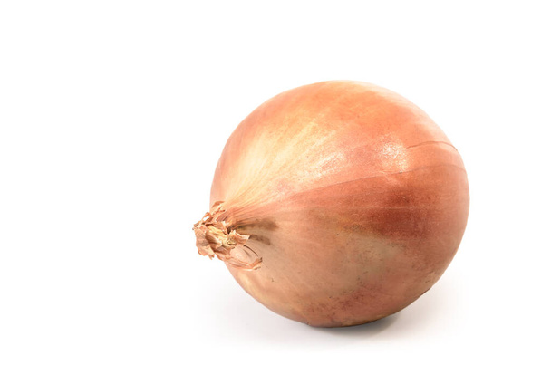 Ripe onion on white background with soft shadow - Photo, Image