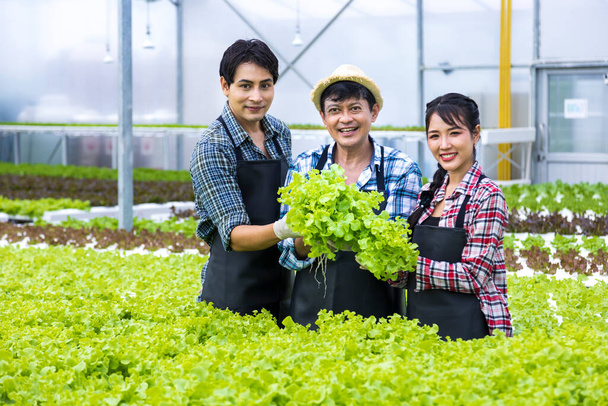 Lokale asiatische Bauern bauen im Gewächshaus ihren eigenen Salat aus grüner Eiche an und verwenden dabei hydroponisches Wassersystem in biologischem Ansatz für ein Familienunternehmen - Foto, Bild