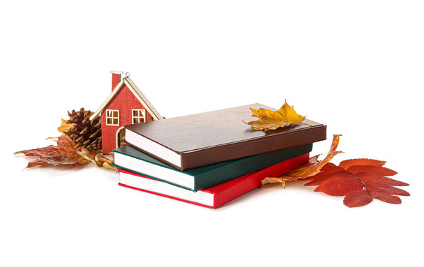 Stack of different books, wooden house and autumn decor on white background - Photo, Image