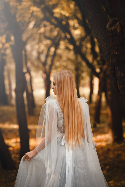 Beautiful girl wearing fairy dress in autumn forest, back view - Photo, Image