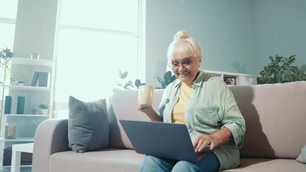Cheerful granny sit sofa enjoy coffee have remote video call pc wave hand webcam - 映像、動画