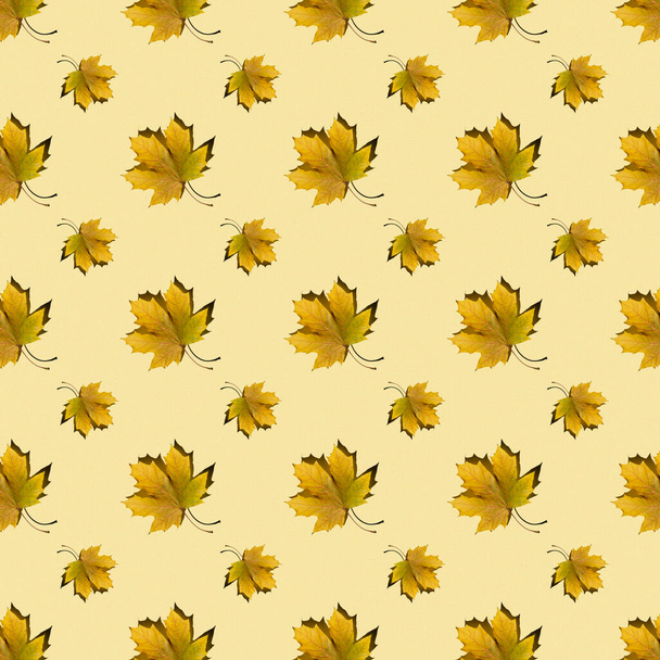 flat seamless pattern of maple leaves on a yellow background - Foto, Bild