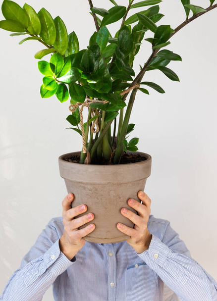 A man holds in front of him an indoor flower Zamioculcas, the plant covers his face, human depersonalization trend - Photo, image