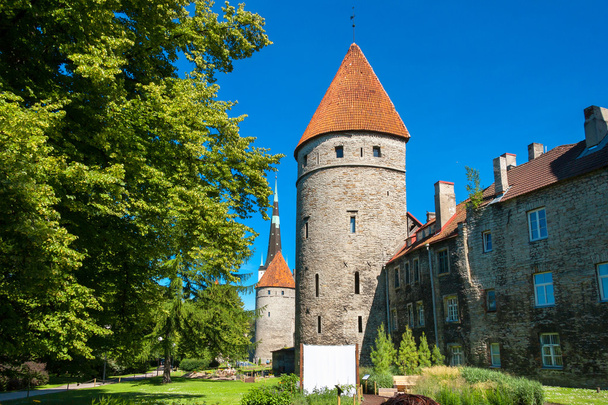 Old Tallinn. Estonia - Fotografie, Obrázek