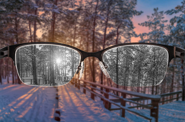 Mirando a través de gafas a la puesta de sol en blanco y negro en vista del bosque de invierno enfocado en gafas de mujer. Ceguera de color. Percepción mundial durante la depresión. Enfermedad. Concepto de salud y enfermedad. - Foto, Imagen