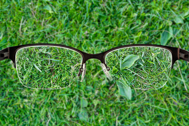 Struktura zelené trávy zaostřená v rámci dámských brýlí. Pohled přes brýle. Lepší koncepce vize.  - Fotografie, Obrázek