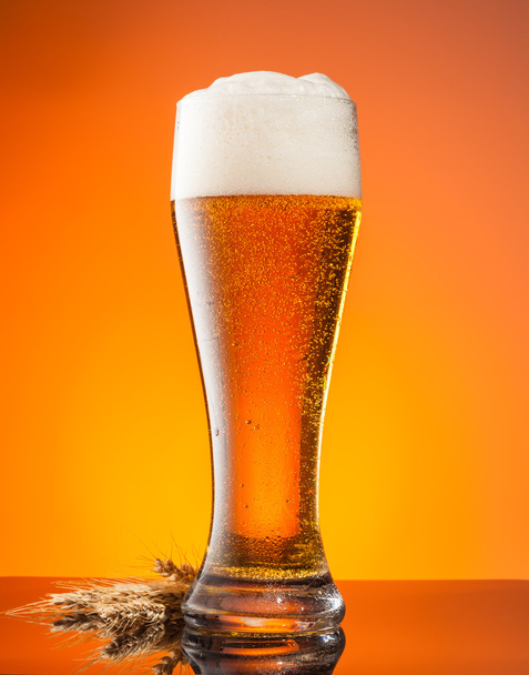 Vaso de cerveza con fondo naranja
 - Foto, imagen