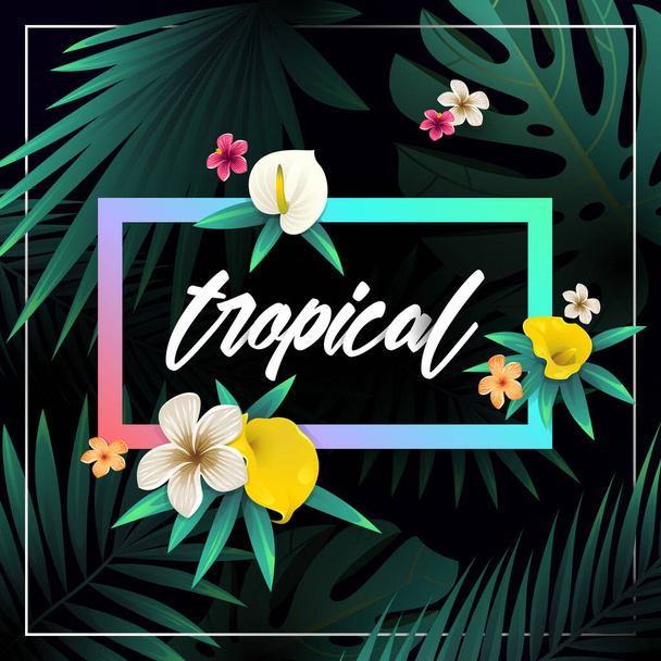 Summer tropical background design - ベクター画像