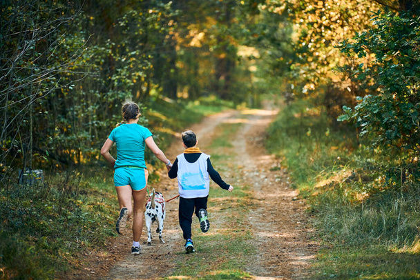 Canicross pes mushing race, Dalmatian pes běží připoután k matce a jejímu synovi, běhání podél lesní stezky zpět pohled, psí dostihy, aktivní rodina běhání venku - Fotografie, Obrázek