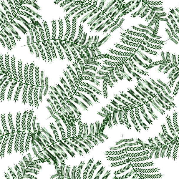 patrón sin costuras, hojas de helecho dibujadas sobre un fondo blanco, textiles, papel pintado - Vector, imagen