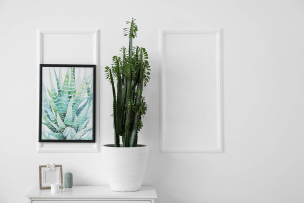 Green cactus and frame on shelf near light wall - Foto, Imagen