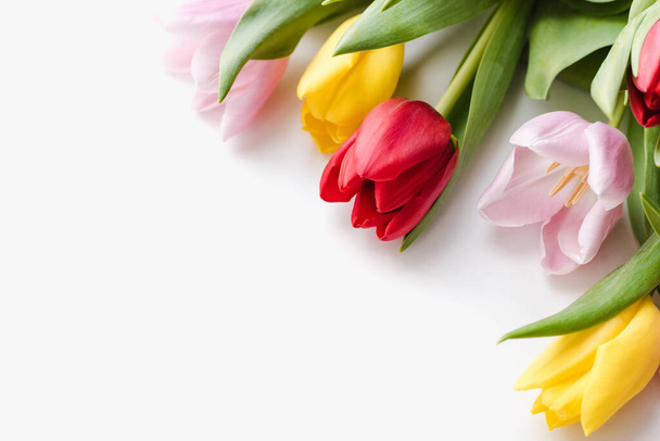 Multicolored tulips on a white background  - Фото, изображение