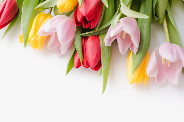 Multicolored tulips on a white background  - Fotoğraf, Görsel