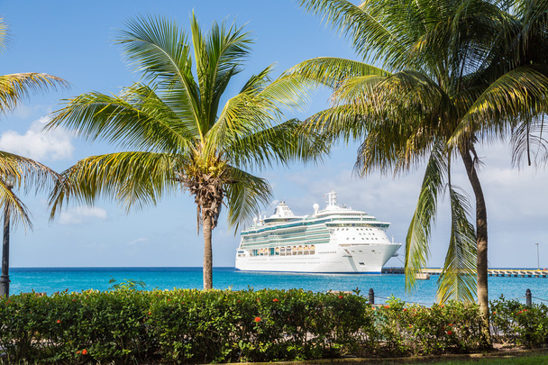 cruise gemi palmiye ağaçları arasında - Fotoğraf, Görsel