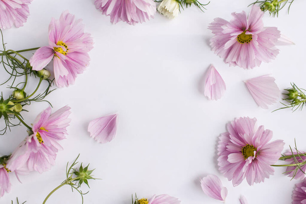 Fresh pink flowers on white background. Natural beauty product. Flat lay, top view, copy space. Flowers composition. Spring, summer concept. - 写真・画像