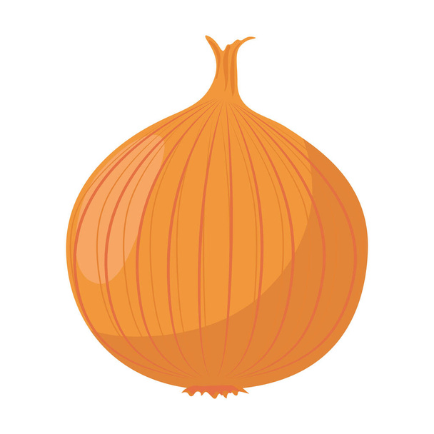 food vegetable onion cartoon vector isolated object - Vector, Image