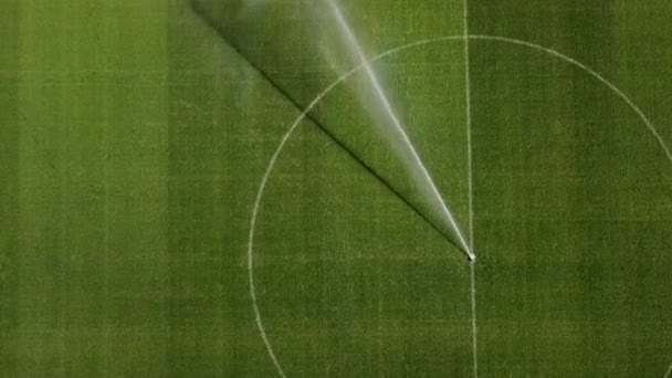 プロサッカーゲーム、芝生のケア、サッカーの試合の概念の前に草の灌漑の前にサッカー場に水をやる。4k高品質映画の博士映像  - 映像、動画