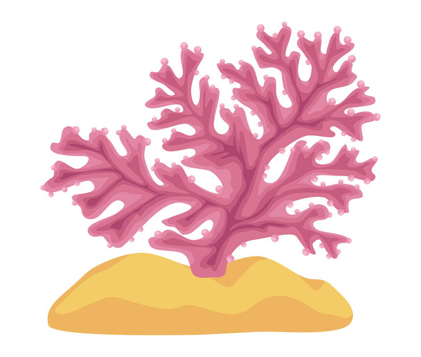 розовые водоросли - Вектор,изображение