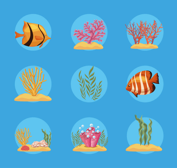 девять икон морской жизни - Вектор,изображение