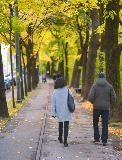 A vertical shot of a young couple walking on fall streets in autumn weather. - Фото, зображення